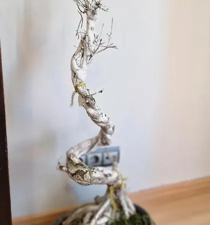 Mirador De Colon - 3 Hab, Wifi, 6 Pax - Vut-4275-as Apartamento Gijón